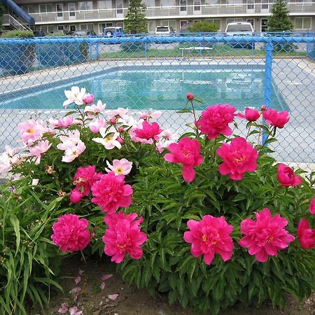 Grand Motel Toronto Extérieur photo