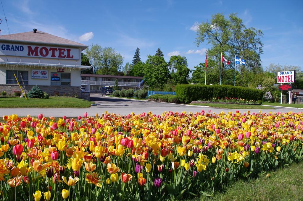 Grand Motel Toronto Extérieur photo